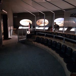 Aquazoo Schmiding - Start of primitive life