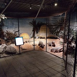 Aquazoo Schmiding - Life in the Paleozoic