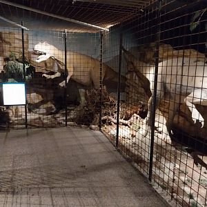 Aquazoo Schmiding - Life in the Paleozoic