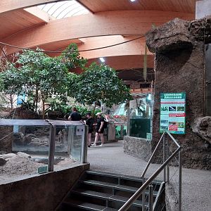 Aquazoo Schmiding - Lebensraum Amazonas