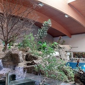 Aquazoo Schmiding - Lebensraum Amazonas