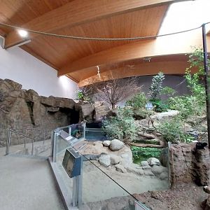 Aquazoo Schmiding - Lebensraum Amazonas