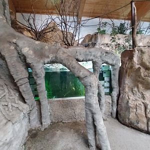 Aquazoo Schmiding - Lebensraum Amazonas -Ciclids