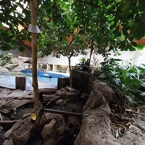 Aquazoo Schmiding - Lebensraum Amazonas