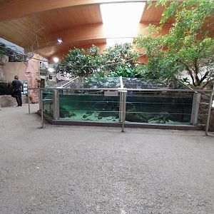 Aquazoo Schmiding - Lebensraum Amazonas - Giants of the Amazon