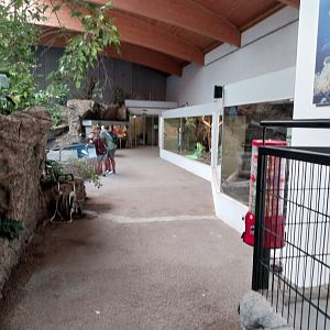 Aquazoo Schmiding - Reptile section