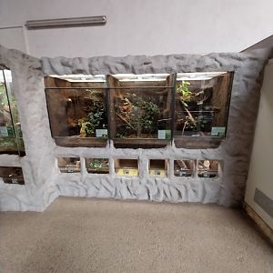 Aquazoo Schmiding - Reptile section