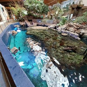 Aquazoo Schmiding - Sea turtle aquarium