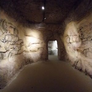 Aquazoo Schmiding - Evolution museum - Ancient animal drawings