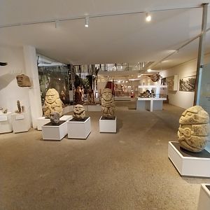 Aquazoo Schmiding - Evolution museum