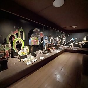 Aquazoo Schmiding - Evolution museum - Amazon