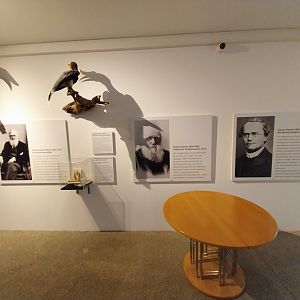 Aquazoo Schmiding - Evolution museum - The godfathers of evolution