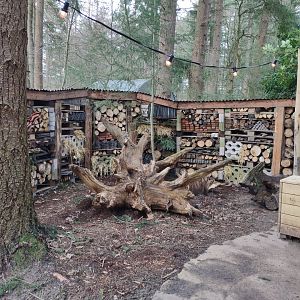 12 2023 - Zoo kitchen entryway path