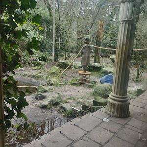 12 2023 - Enrichment at the tiger enclosure