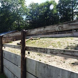 South American tapir and Patagonian mara paddock, 2023-06-24