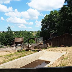 South American tapir and Patagonian mara paddock, 2023-06-24