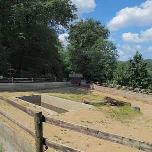 South American tapir and Patagonian mara paddock, 2023-06-24