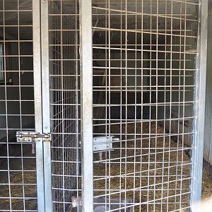 South American tapir indoor housing, 2023-06-24