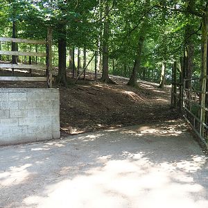 Alpaca and Llama paddock and access to holding area, 2023-06-24