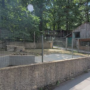 Capybara exhibit, 2023-06-24
