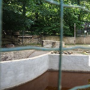 Capybara exhibit, 2023-06-24
