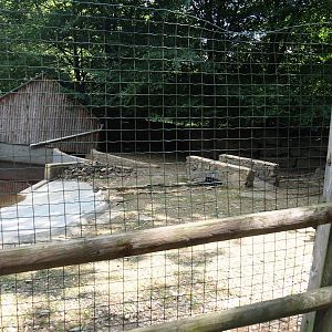 Capybara exhibit, 2023-06-24