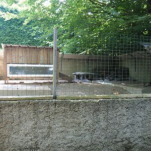 Asian small-clawed otter exhibit, 2023-06-24