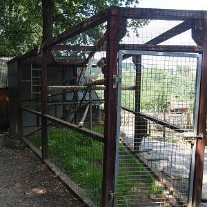Green-winged macaw and Scarlet macaw aviary, 2023-06-24