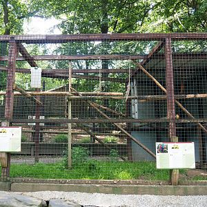 Green-winged macaw and Scarlet macaw aviary, 2023-06-24