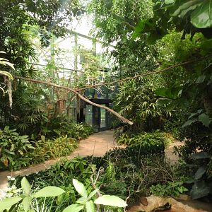Inside Hidden Jungle Aviary