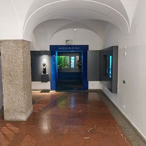 Haus der Natur - Aquarium
