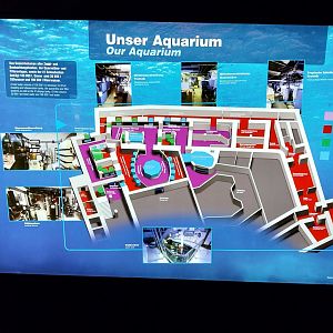 Haus der Natur - Aquarium floor map