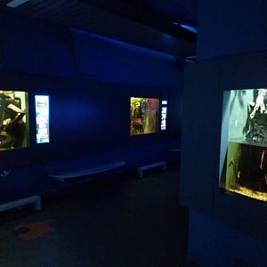 Haus der Natur - Aquarium