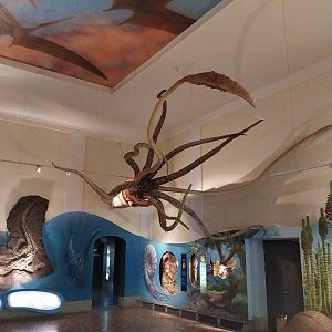 Haus der Natur - Aquarium - Dinosaur hall
