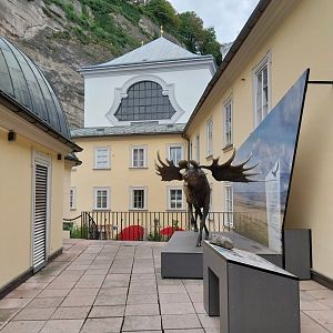 Haus der Natur - Roof top section