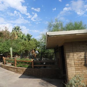 View of coyote enclosure