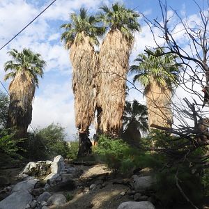 Inside walk-through aviary