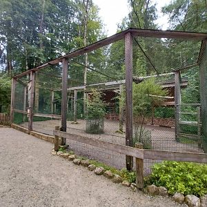 Ebbs Raritätenzoo - European eagle owl aviary