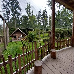 Ebbs Raritätenzoo - Yellow-billed stork aviary