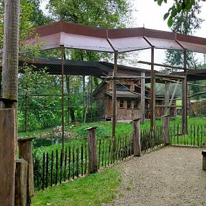 Ebbs Raritätenzoo - Rhesus macaque enclosure