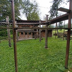 Ebbs Raritätenzoo - Rhesus macaque enclosure