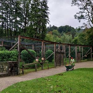 Ebbs Raritätenzoo - Vulture aviaries