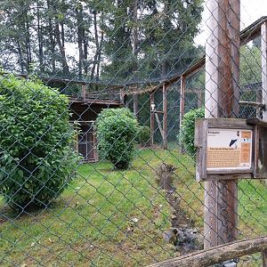 Ebbs Raritätenzoo - King vulture aviary