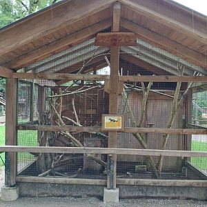 Ebbs Raritätenzoo - Swinhoe striped squirrel enclosure