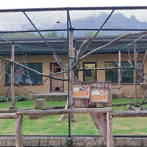 Ebbs Raritätenzoo - Black & white ruffed lemur and chacoan mara enclosure