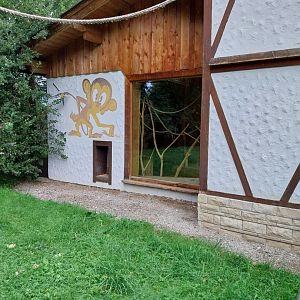 Ebbs Raritätenzoo - Ringtailed lemur house