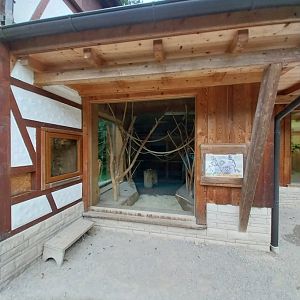 Ebbs Raritätenzoo - Ringtailed lemur house