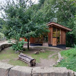 Ebbs Raritätenzoo - Ringtailed lemur house & African giant tortoises house