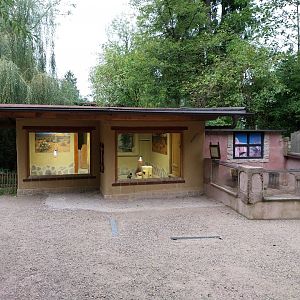 Ebbs Raritätenzoo - Meerkat enclosure