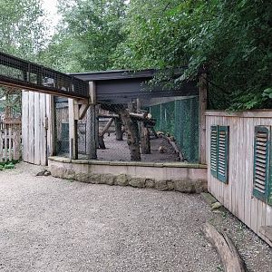 Ebbs Raritätenzoo - South American coati enclosure